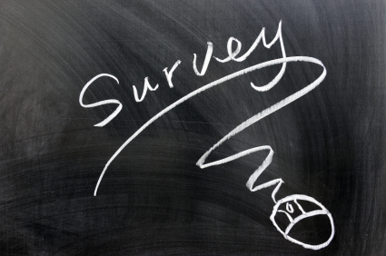 What is Online Survey?